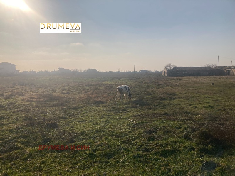 En venta  Trama región Dóbrich , Topola , 3440 metros cuadrados | 70396577 - imagen [8]