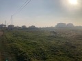 Продава ПАРЦЕЛ, с. Топола, област Добрич, снимка 4
