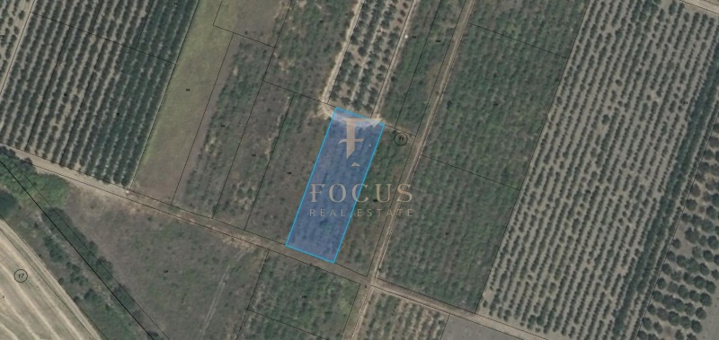 Na prodej  Přistát oblast Plovdiv , Brestnik , 1.3 dka | 42758871