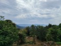 Продава КЪЩА, с. Черни връх, област Шумен, снимка 16