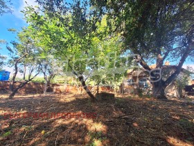 ������� ���� | Imot.bg � ����� ������ 15