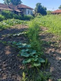 Продава ПАРЦЕЛ, гр. Златарица, област Велико Търново, снимка 4