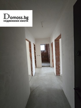 ����� ������� 4-�����,���� �����������, ����� ������