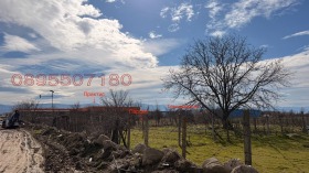 ����� ������� ������,���� �������, ��������