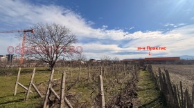 ������� ������ | Imot.bg � ����� ������ 8