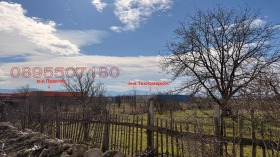 ����� ������� ������,���� �������, ��������