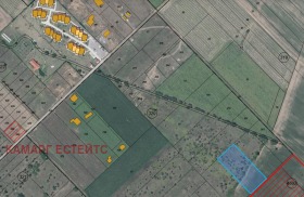 ����� ������� ������,���� �����, �. �����