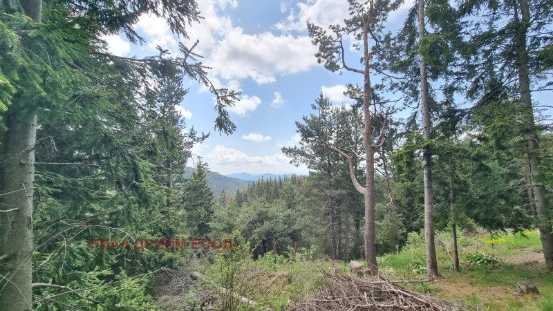 En venta  Trama región Smolyan , Momchilovtsi , 2022 metros cuadrados | 58381831 - imagen [6]