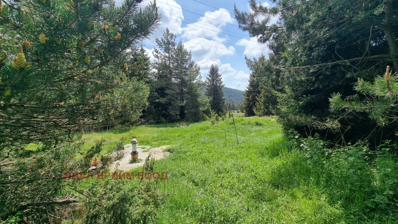 En venta  Trama región Smolyan , Momchilovtsi , 2022 metros cuadrados | 58381831 - imagen [13]