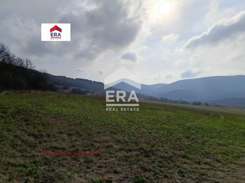 Продава ПАРЦЕЛ, с. Ново село, област Стара Загора, снимка 2 - Парцели - 49836286