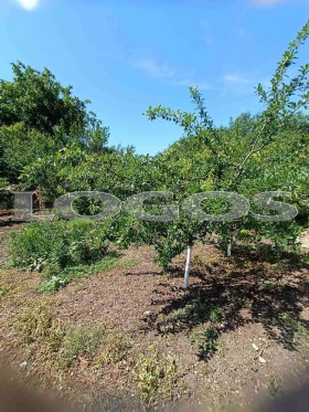 ������� ���� | Imot.bg � ����� ������ 12