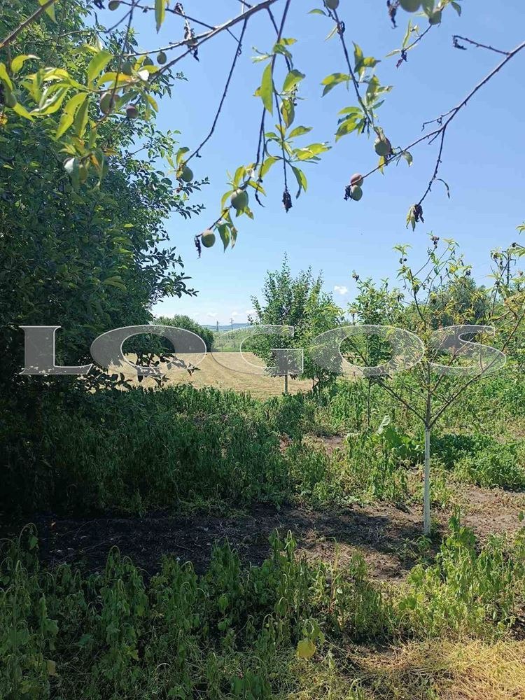 Продава КЪЩА, с. Житница, област Добрич, снимка 13 - Къщи - 54852636