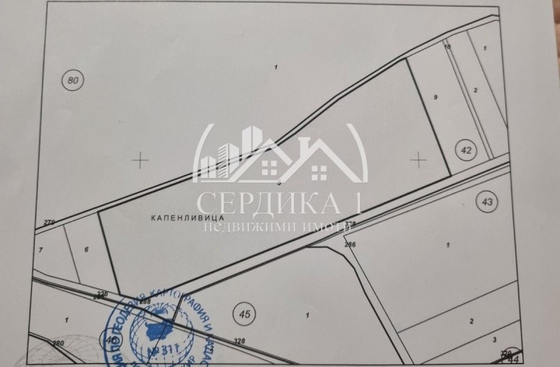 Продава ЗЕМЕДЕЛСКА ЗЕМЯ, с. Рилци, област Благоевград, снимка 9 - Земеделска земя - 47156856