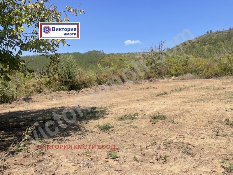 Продава ПАРЦЕЛ в област Велико Търново, гр. Дебелец - 1160 кв.м / 49 000 € » 95 835.67 лв., ВИКТОРИЯ ИМОТИ ЕООД
