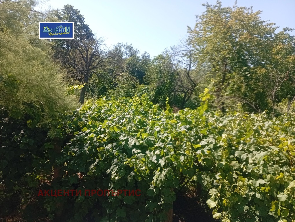 ������� ���� | Imot.bg � ����������� 13