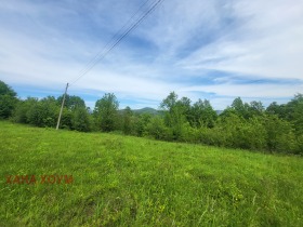 Plott Patresjko, region Lovech 7