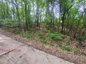 Plott Patresjko, region Lovech 8