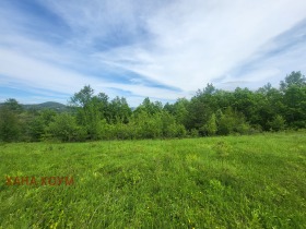 Plott Patresjko, region Lovech 1