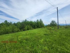 Plott Patresjko, region Lovech 6