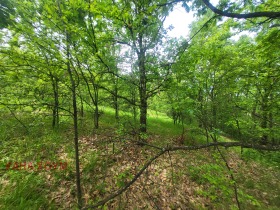 Plott Patresjko, region Lovech 9