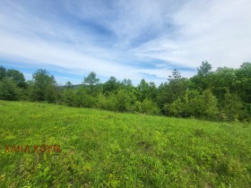 Plott Patresjko, region Lovech 2