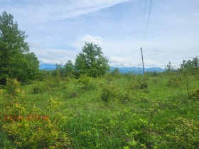 Plott Patresjko, region Lovech 3
