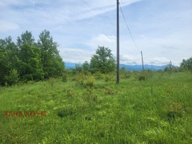 Plott Patresjko, region Lovech 4