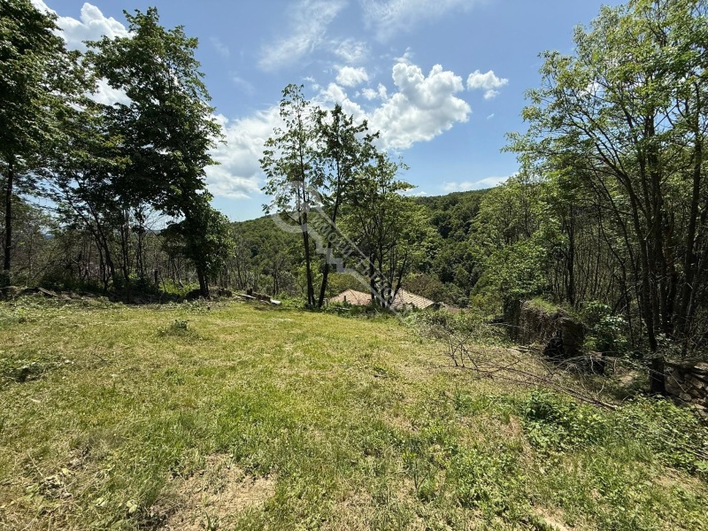 Zu verkaufen  Haus region Gabrovo , Trjawna , 104 qm | 24847286 - Bild [15]