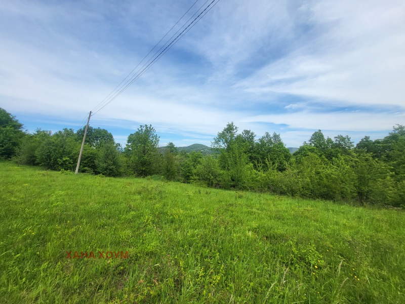 Til salgs  Plott region Lovech , Patresjko , 2000 kvm | 50873881 - bilde [7]