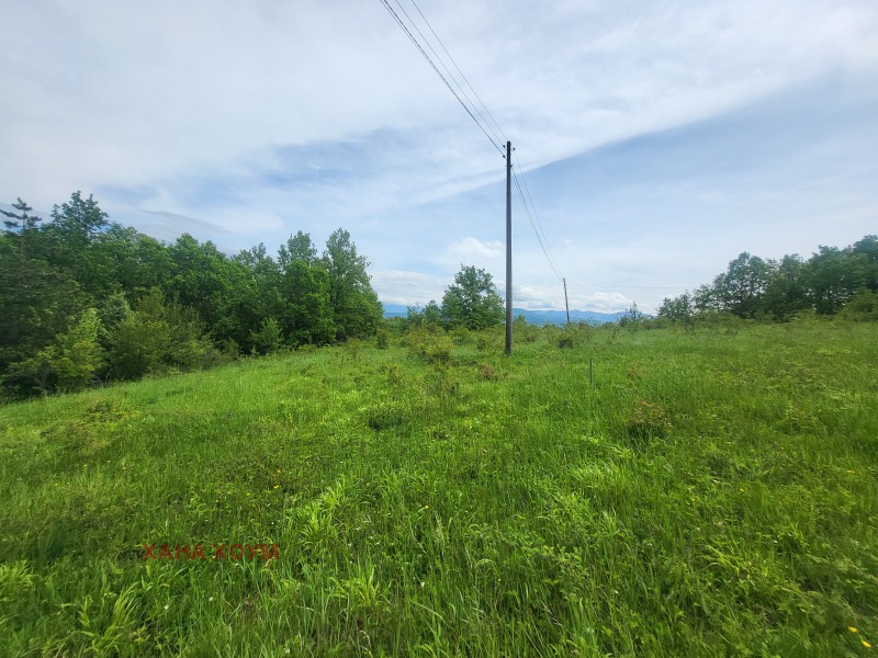 Til salgs  Plott region Lovech , Patresjko , 2000 kvm | 50873881 - bilde [5]