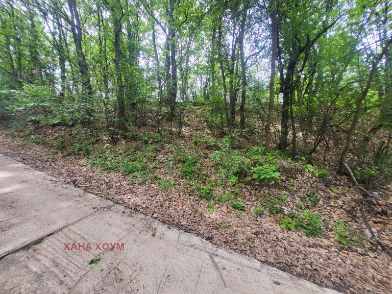 Til salgs  Plott region Lovech , Patresjko , 2000 kvm | 50873881 - bilde [8]