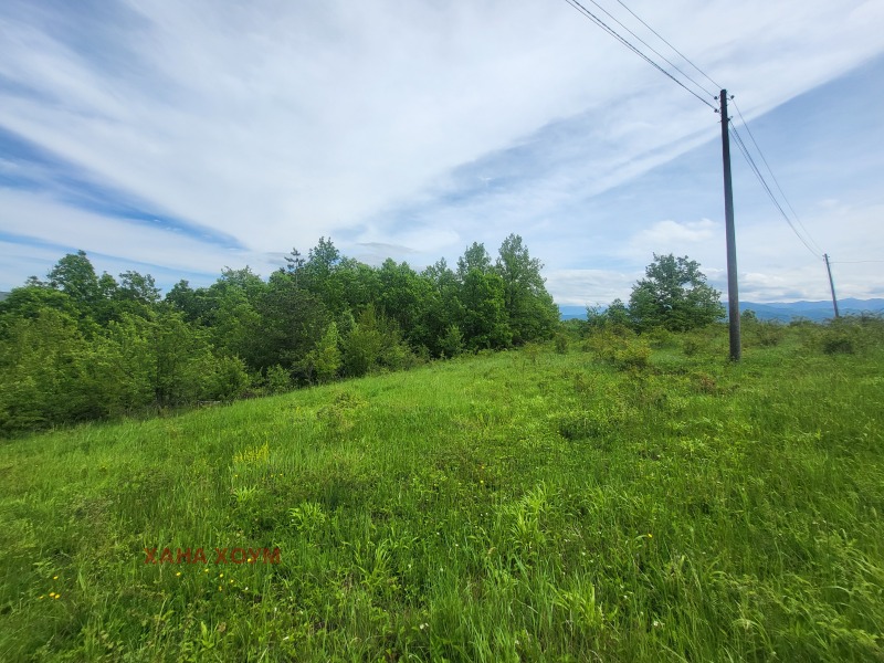 Til salgs  Plott region Lovech , Patresjko , 2000 kvm | 50873881 - bilde [6]