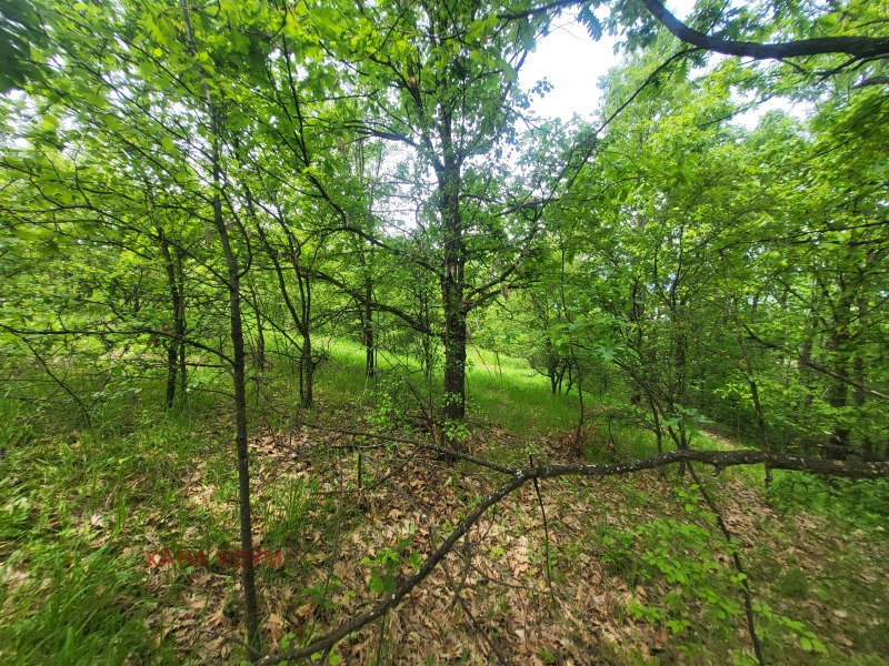 Til salgs  Plott region Lovech , Patresjko , 2000 kvm | 50873881 - bilde [9]