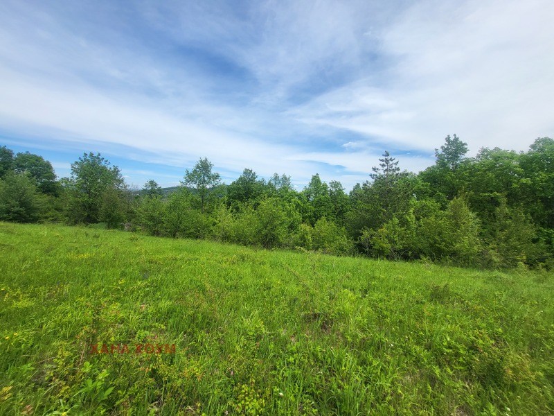 Til salgs  Plott region Lovech , Patresjko , 2000 kvm | 50873881 - bilde [2]