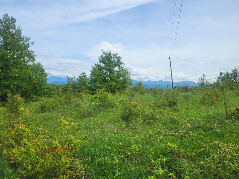 Til salgs  Plott region Lovech , Patresjko , 2000 kvm | 50873881 - bilde [3]