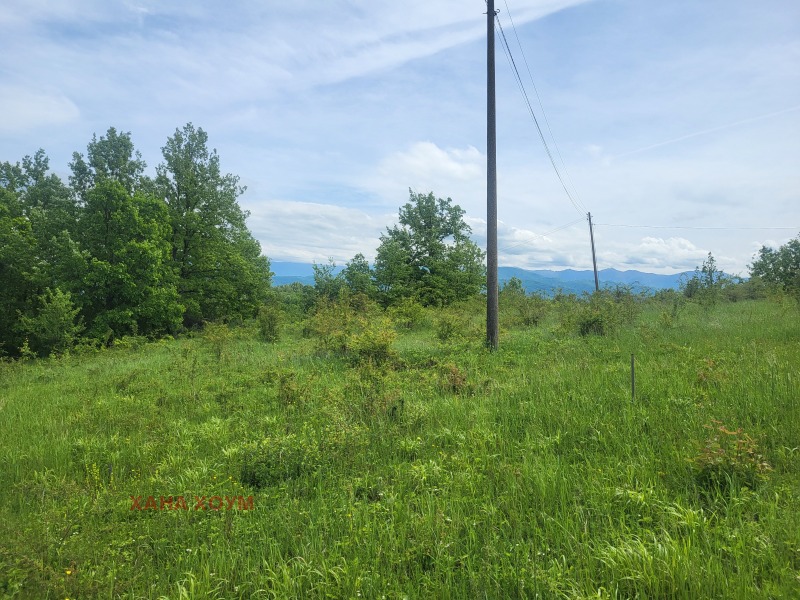 Til salgs  Plott region Lovech , Patresjko , 2000 kvm | 50873881 - bilde [4]