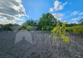 Продава ПАРЦЕЛ, с. Хрищени, област Стара Загора, снимка 6
