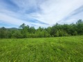 Продава ПАРЦЕЛ, област Ловеч, с. Патрешко • 12500 € • 24791412 — Holmes.bg