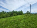 Продава ПАРЦЕЛ, област Ловеч, с. Патрешко • 12500 € • 24791412 — Holmes.bg
