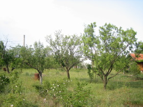 Cselekmény Izvorishte, Burgas 7