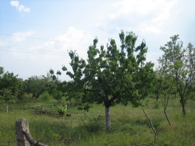 Парцел град Бургас, с. Изворище 4