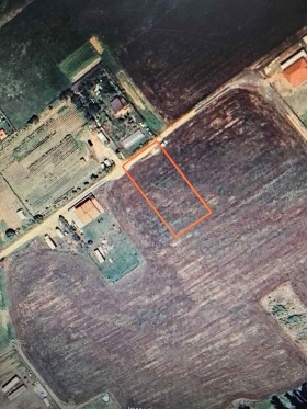 Продажба на земеделски земи в област Благоевград - изображение 19 