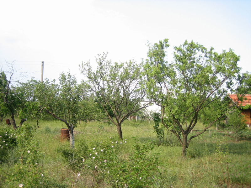 Продава  Парцел град Бургас , с. Изворище , 1000 кв.м | 75326364 - изображение [7]