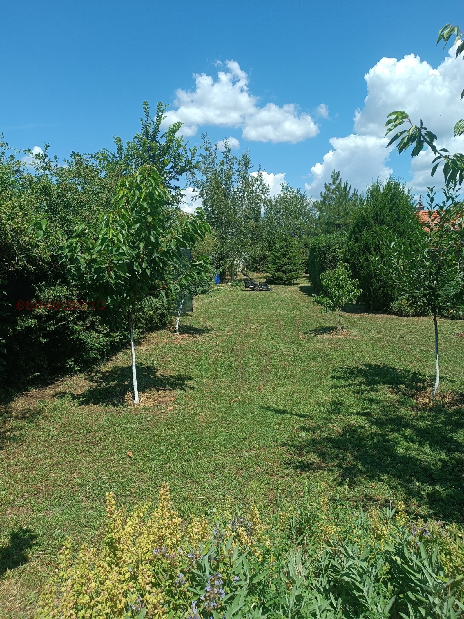 Продава КЪЩА, с. Малко Тръново, област Стара Загора, снимка 12 - Къщи - 55713562