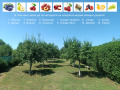 Продава КЪЩА, с. Малко Тръново, област Стара Загора, снимка 13
