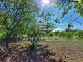 Продава ПАРЦЕЛ, с. Радево, област Варна, снимка 3