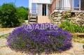Продава КЪЩА, област Варна, с. Аврен • 199900 € • 79299484 — Holmes.bg