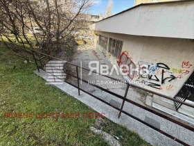 ����� ������� ����,���� �����, ���������