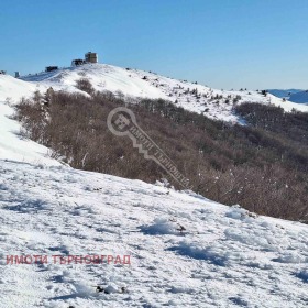 Hus Elena, region Veliko Tarnovo 8