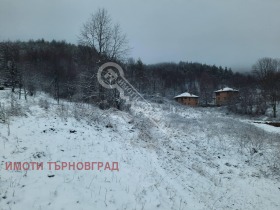 Hus Elena, region Veliko Tarnovo 7